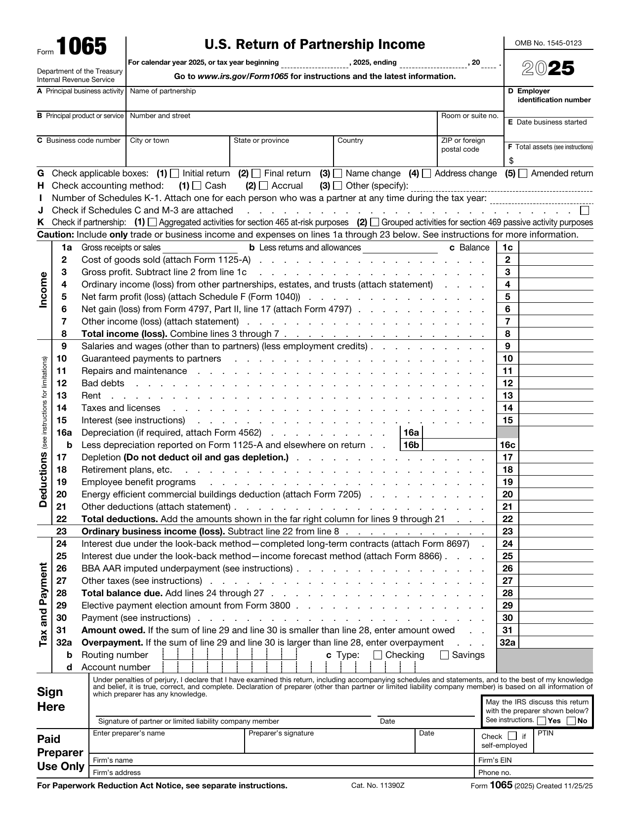 Form 1065 preview